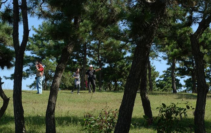 连云港青松岭森林公园拓展训练基地